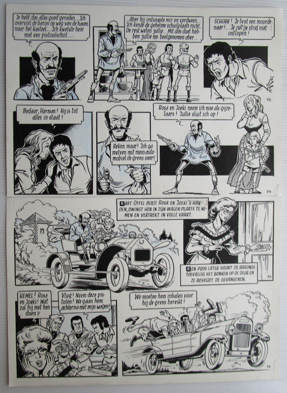 Het zilveren raadsel