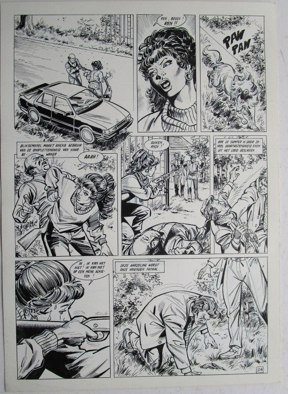 Originele pagina Bessy Natuurkommando 11 - plaat 24